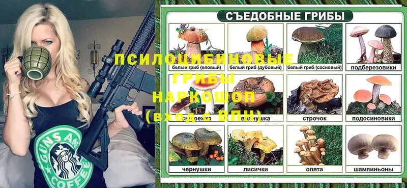 купить закладку  Покровск  Галлюциногенные грибы Cubensis 